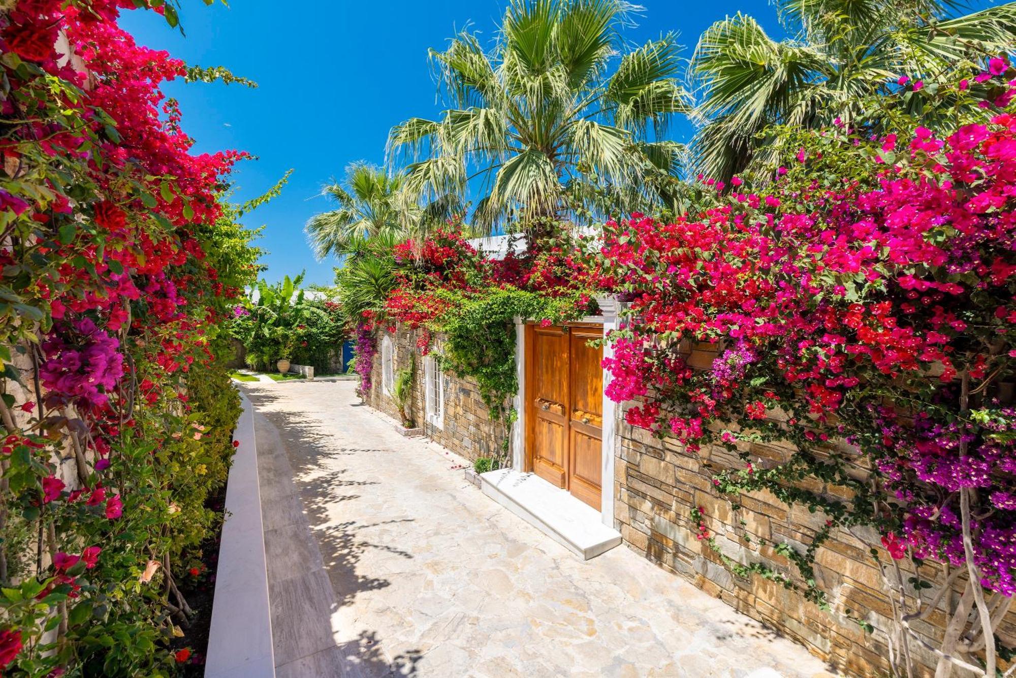 Porto Zante Villas And Spa Tragaki Dış mekan fotoğraf